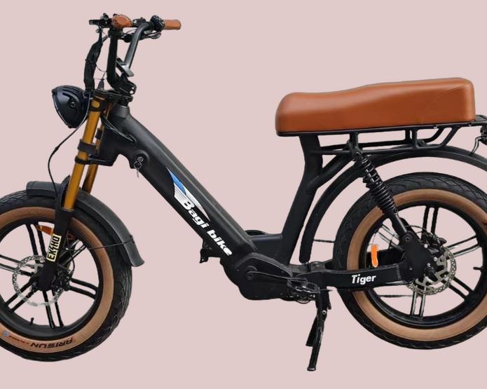 Шустрый толстяк. Производитель Bagi Bike выпустил велосипед B24 Tiger Low